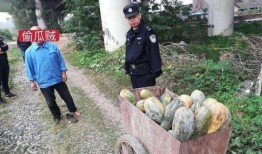 甘肃网红老头吃瓜事件,揭秘网络红人的争议瞬间