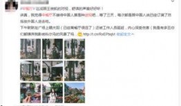 网友爆料餐厅视频播放网站,揭秘幕后黑幕