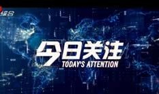 综合台在线直播观看,实时捕捉精彩瞬间，尽享视听盛宴