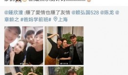 陈龙章龄之圈内爆料,明星背后的真实故事