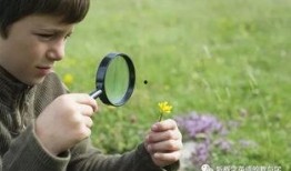 好奇心在线观看,好奇心在线观看之旅