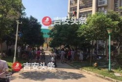 阳光新城最新爆料信息网,揭秘神秘项目背后的惊人真相
