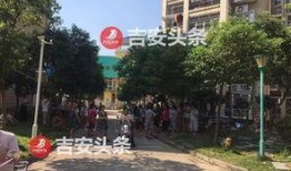 阳光新城最新爆料信息网,揭秘神秘项目背后的惊人真相