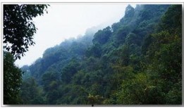 山野在线观看,探寻自然之美，在线共赏绝美风光