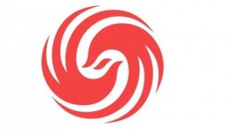 凤凰卫视新闻爆料电话,揭秘新闻爆料电话背后的真相