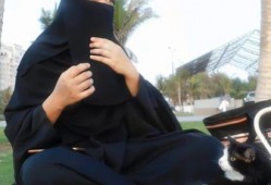 娱乐吃瓜酱与君,揭秘娱乐圈背后的故事与真相