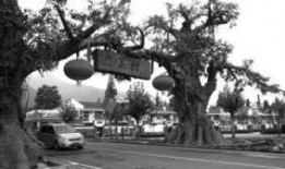 长安区滦镇最新爆料,揭秘神秘事件背后的真相