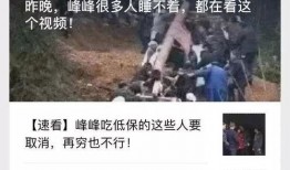 打麻将新闻爆料,揭秘最新打麻将新闻背后的惊人内幕