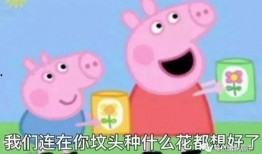 王者佩奇爆料最新消息,神秘新英雄即将登场，游戏格局将迎巨变！