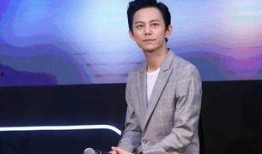 何炅娱乐爆料事件视频播放,揭秘娱乐圈幕后真相