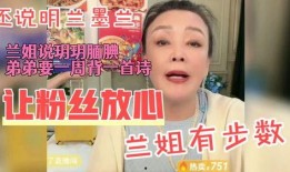 兰姐员工爆料视频大全,揭秘职场真相与幕后故事