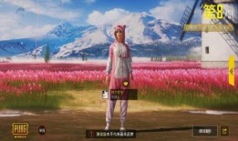 吃鸡最新爆料衣服图片大全,潮流服饰大盘点，时尚与实战并存