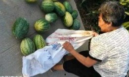 平邑吃瓜最新事件爆料,揭秘背后惊人真相，网络热议持续升温