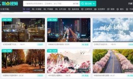 爆料类小视频素材网站推荐,揭秘小视频素材背后的秘密