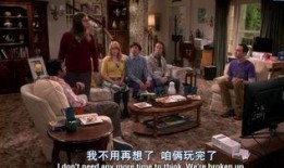 生活大爆炸10在线观看,笑料与智慧的完美碰撞