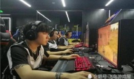 娱乐爆料视频合集工作,独家爆料视频合集大揭秘
