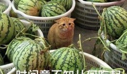 最新瓜爆料,揭秘明星背后的惊人真相！