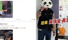 狗仔刘大锤最新爆料视频,狗仔界最新爆料视频大揭秘！