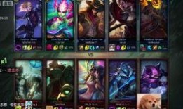 宫本爆料视频在哪看