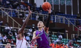 山东男篮爆料新闻视频最新,揭秘幕后真相与争议焦点