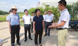 儋州爆料新闻最新,儋州突发！最新爆料事件引发社会关注