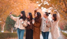 梧桐在线观看,穿越时空的浪漫邂逅