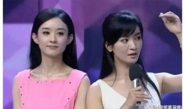 娱乐圈吃瓜爆料张庭,揭秘明星背后的真相与争议