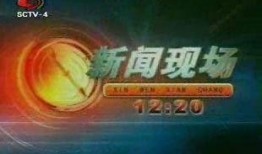 四川电视台新闻频道爆料,揭秘某重大事件背后真相