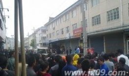 蒲城最近爆料案件最新,最新案件细节曝光，真相令人震惊！