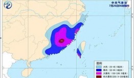 杭州台风最新爆料,狂风暴雨来袭，城市紧急应对！