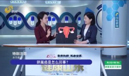 卫视台直播在线观看,实时掌握精彩瞬间，畅享在线观看新体验