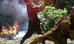 中国血在线观看