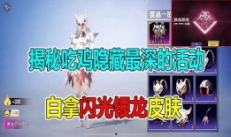 闪光银龙爆料视频大全,揭秘视频大全背后的精彩瞬间