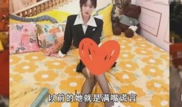 揭秘爆料动画视频在线观看,动画视频背后的秘密，在线观看大揭秘！