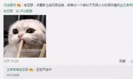 策划巴哥最新爆料,揭秘策划界的神秘力量