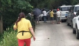 隔壁村最新爆料,揭秘神秘事件背后的惊人真相！