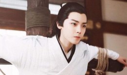 谢怜爆料鹿晗视频大全集,视频大全集深度解析