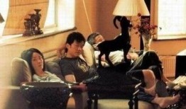 女老总陪酒爆料视频,一场商业饭局的背后真相