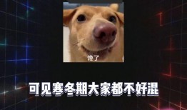 娱乐八卦每日吃瓜汇总,盘点娱乐圈最新热点，揭秘明星幕后故事
