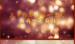父亲节爆料视频素材高清,高清视频素材背后的温馨瞬间