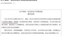 山东开发商爆料案件最新,揭秘巨额资金去向之谜
