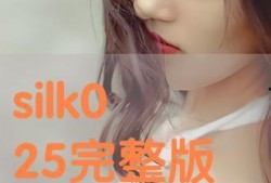 silk在线观看,在线领略丝绸之路的壮丽画卷