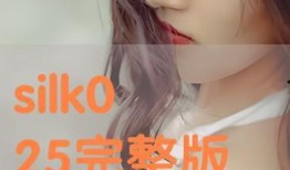 silk在线观看,在线领略丝绸之路的壮丽画卷