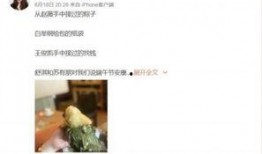 网友爆料餐厅视频播放网站,揭秘幕后黑幕