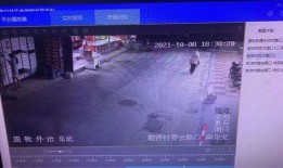 鱼爆料的视频大全,揭秘网络热点背后的真相