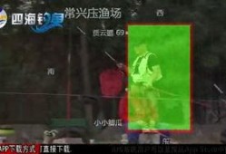 黑坑江湖爆料视频下载,视频爆料背后的真实故事