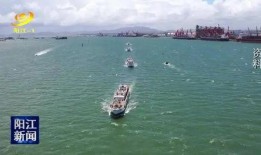 阳江今日爆料新闻视频,视频揭露惊人真相，网友热议不断！