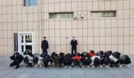 包头苏蒙学校爆料案件最新,真相揭开，校园安全再引关注”