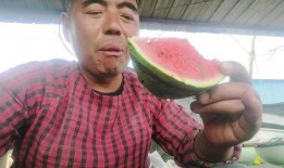 甘肃网红老头吃瓜事件,揭秘网络红人的争议瞬间