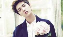 鹿晗爆料娱乐圈粉丝,粉丝行为背后的真相与反思”